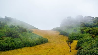 The Chariot Path and Seetha Tear Pond