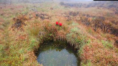 The Chariot Path and Seetha Tear Pond