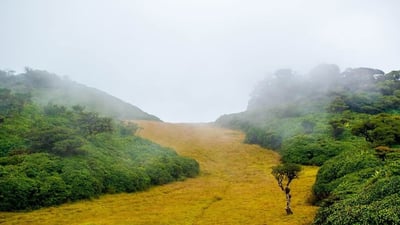 The Chariot Path and Seetha Tear Pond
