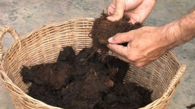 Elephant Dung Paper
