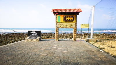 Sakkotei Cape