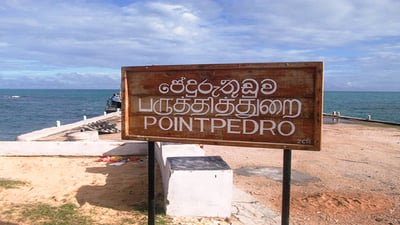 Sakkotei Cape