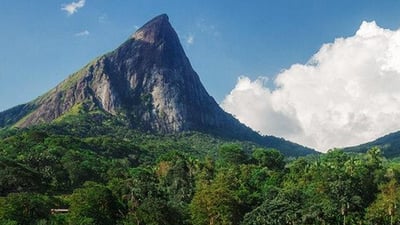 Narangamuwa