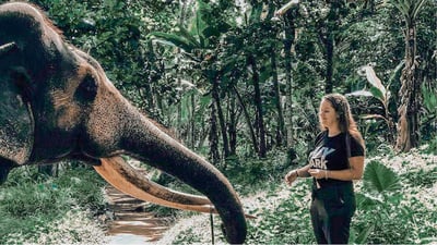 Millennium Elephant Foundation
