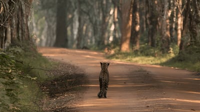 Biodiversity