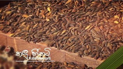 Kalu Heenati
