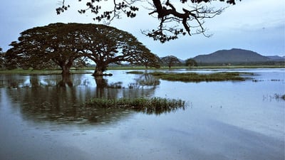 Debarawewa Lake
