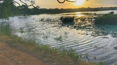 Debarawewa Lake