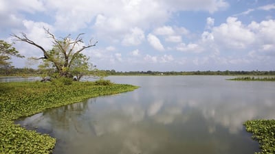 Debarawewa Lake