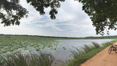 Debarawewa Lake