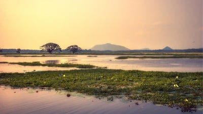 Debarawewa Lake