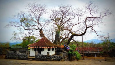 Three Temples Loop