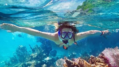 Bar Reef