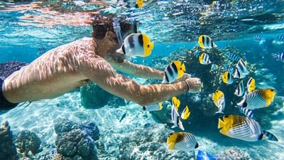 Bar Reef