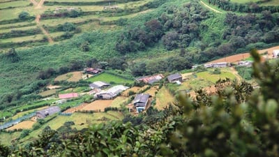 Conical Hil