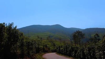 Conical Hil