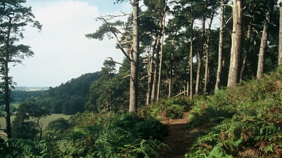 Corbet’s Gap