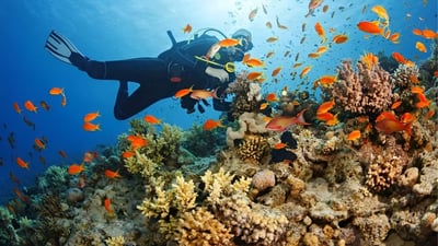 Dive Sites