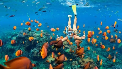 Dive Sites