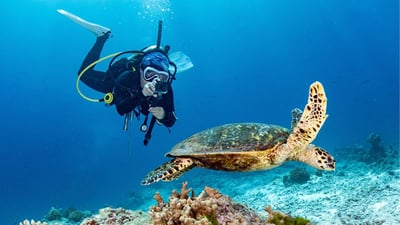 Dive Sites