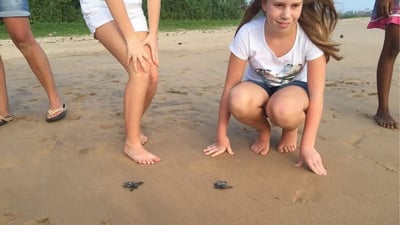 Sea Turtle Farm in Mahamodara