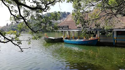Joy Boat Servic, Kandy
