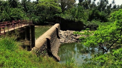 Bathalegoda Lake, Kurunagale