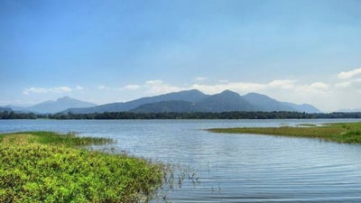 Bathalegoda Lake, Kurunagale