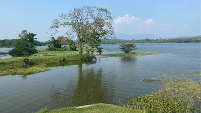 Bathalegoda Lake, Kurunagale