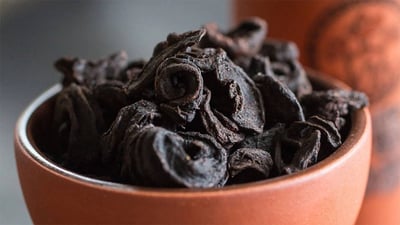 Garcinia Cambogia