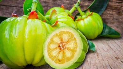 Garcinia Cambogia