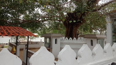 Sri Nagavihara International Buddhist Centre