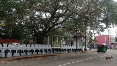 Sri Nagavihara International Buddhist Centre