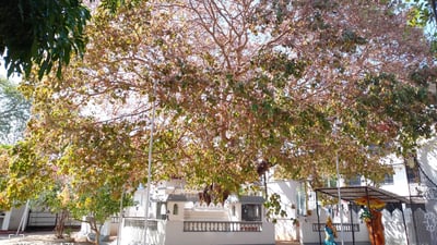 Sri Nagavihara International Buddhist Centre