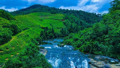 Deraniyagala