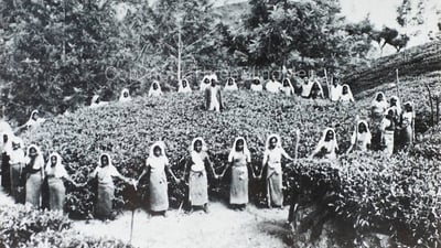 Gonapitiya Group