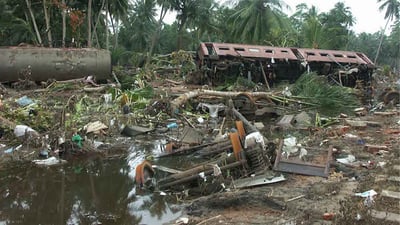 2004 Indian Ocean tsunami Peraliya rail disaster