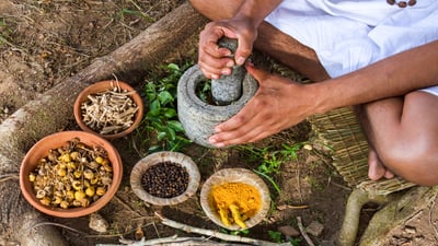 Enhancing Immunity through Ayurveda