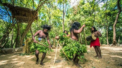 Forest Dwellers Of Rathugala