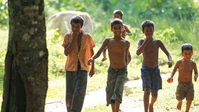 Forest Dwellers Of Rathugala