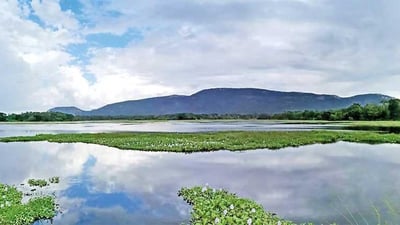 Galgiriya Mountain