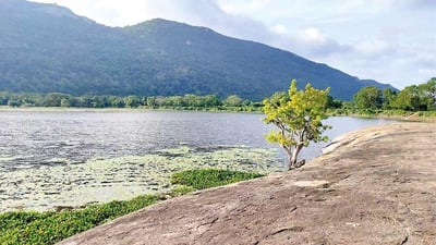 Galgiriya Mountain