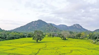 Galgiriya Mountain