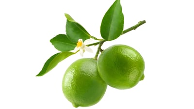 Lime
