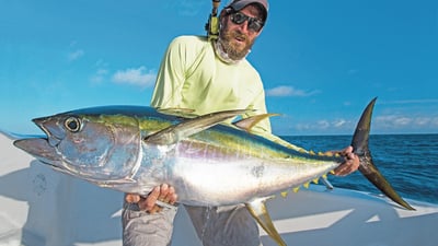 Popular Fish Species