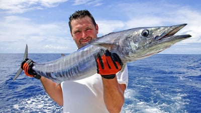 Popular Fish Species