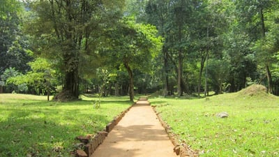 Popham's Arboretum