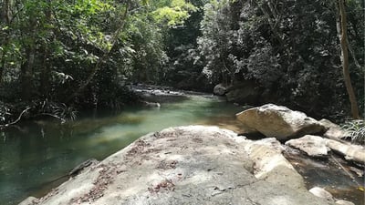 Pareiyan Ella Falls
