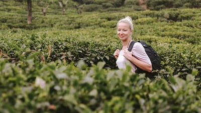 Hanthana Tea Plantations