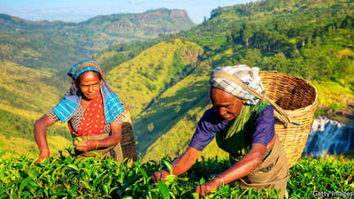 Sri Lanka Tamils